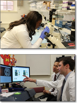 female at a microscope in top image; two males at a computer in lower image