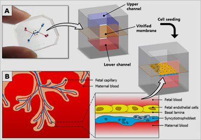 ILLUSTRATION OF PROCESS