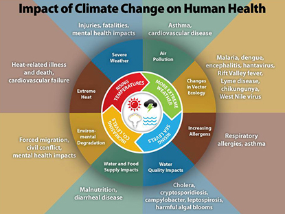 chart summarizing the impact of climate change on human health