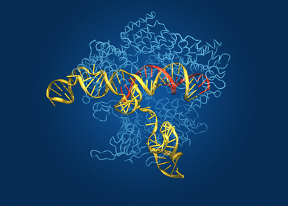 molecular model that looks like colorful curled paper strips