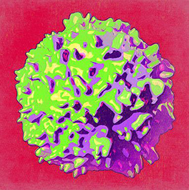  Illustration of a cell.
