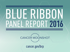 Blue Ribbon Panel Report 2016