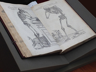 OPEN BOOK SHOWING DRAWINGS OF SKELETONS