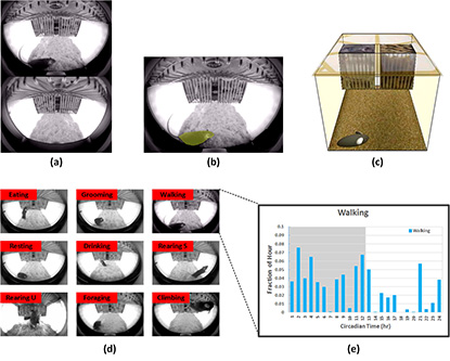 several images of the mouse being filmed in its cage