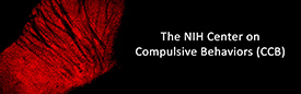 Banner for NIH Center of Compulsive Behaviors