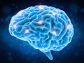image of brain in blue
