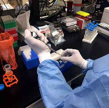 gloved hands working in a lab