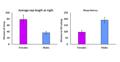 Bar graph