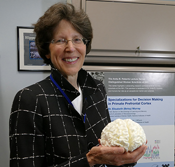 Elisabeth Murray holding a 3-D model of brain
