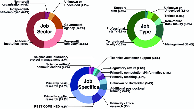 circle graph showing percentages of people in different careers