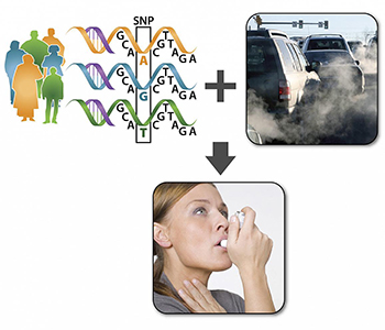 photos and illustrations depicting genes, air pollution from cars, and a woman using an inhaler