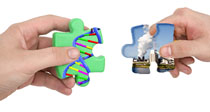 Two hands with puzzle pieces. One piece is an illustration of a DNA double helix, the other is an illustration of a factory with smoke coming out of the smokestack