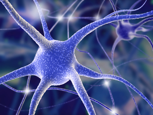 purple image of neuron