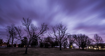 darkened trees against purplish sky
