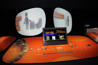 video screens in the interactive displays