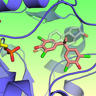 drawing of molecular binding sites