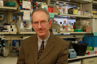 Louis Staudt in his lab