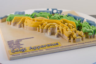 golgi apparatus model made by a 3-D printer