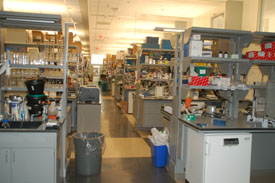 lab benches line a central corridor