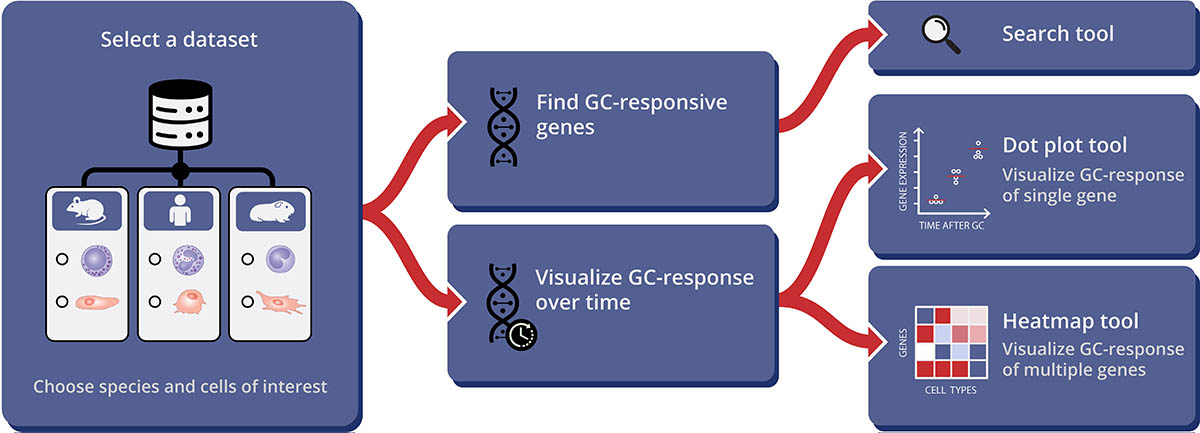 diagram showing workflow