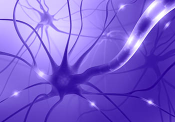 illustration of a neuron