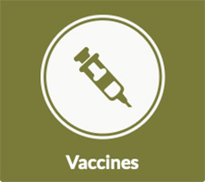 syringe as a symbol for vaccines