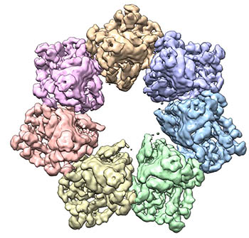 3D model of protein