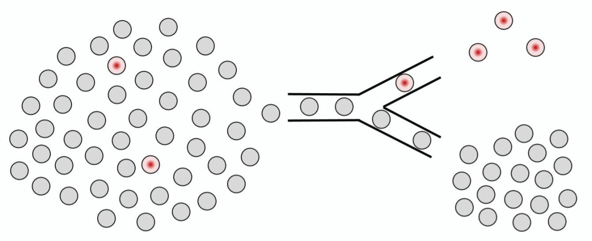 illustration of sorting through a large group of cells to find specific ones