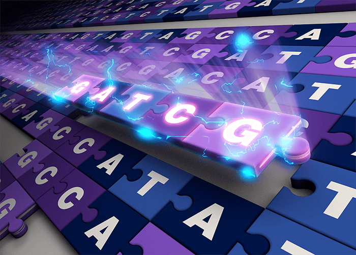 puzzle pieces representing the letters in the DNA code