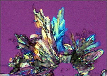AZT crystals