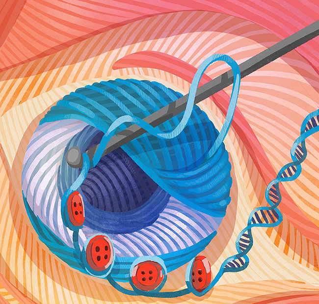 Loose yarn representing uncompacted DNA is wound by a crochet hook around buttons representing nucleosomes and culminating in a tightly condensed ball of chromatin that forms an eye-like shape