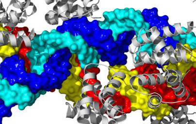 structure of an RNA molecule