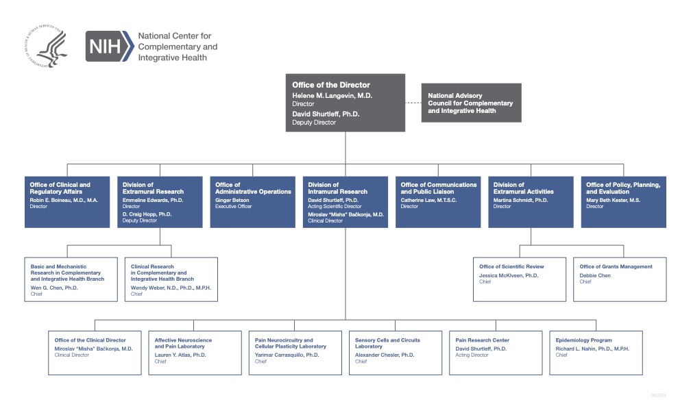 organization flow chart