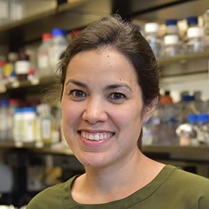 KATHERINE MCJUNKIN, PH.D., NIDDK