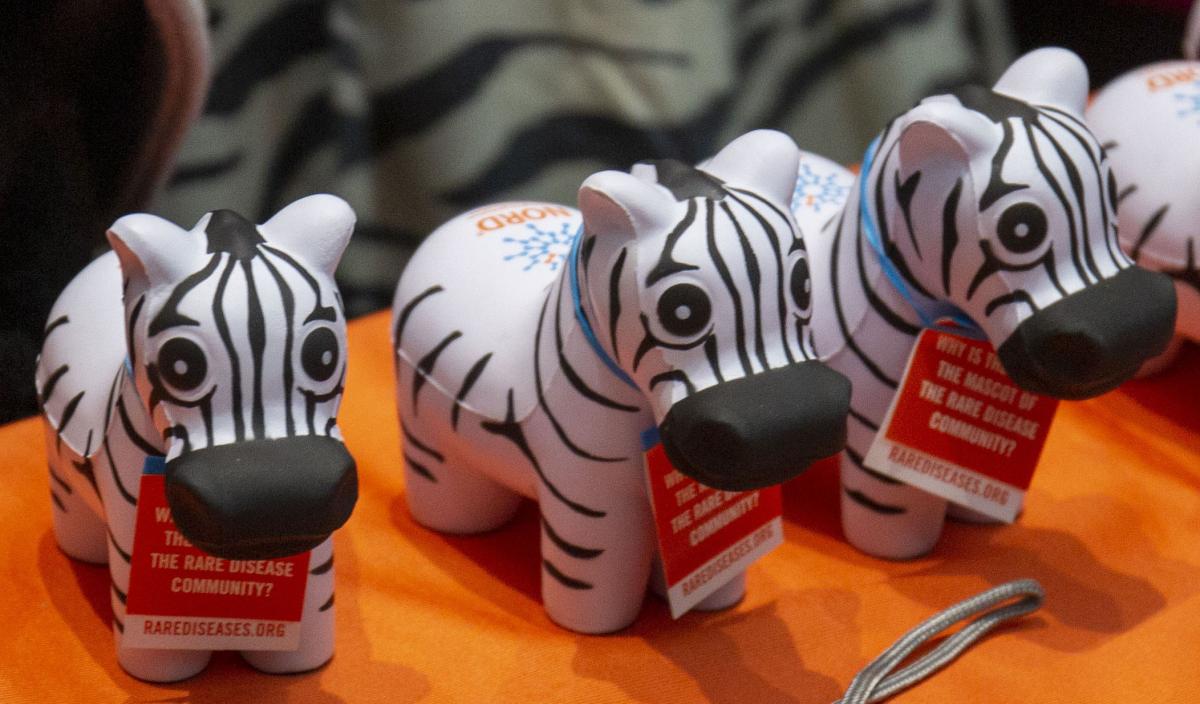 three zebra models on orange table