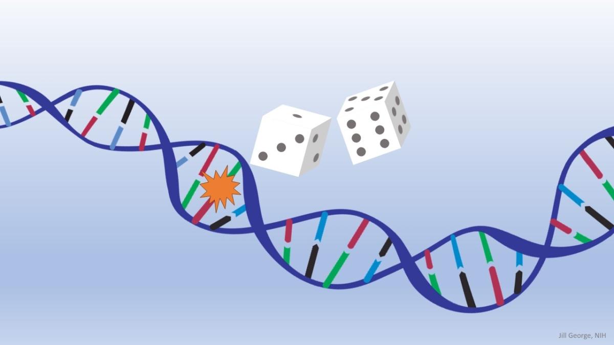 dice hitting a DNA molecule