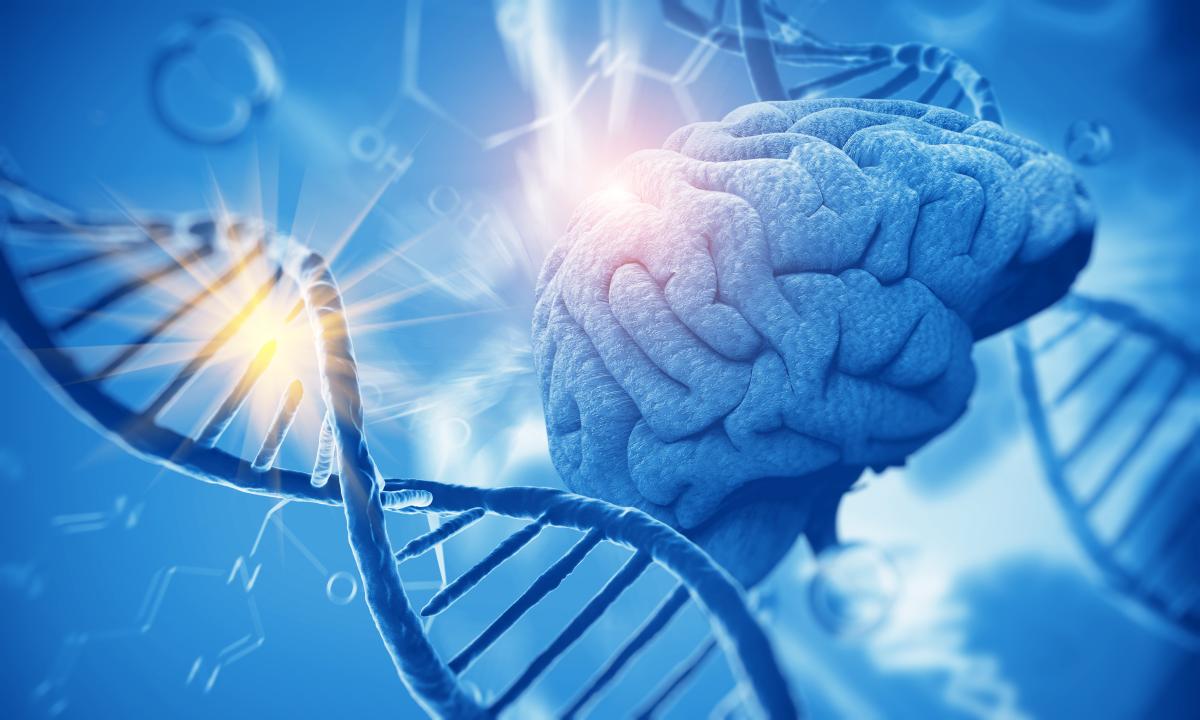 DNA molecules surrounding a brain