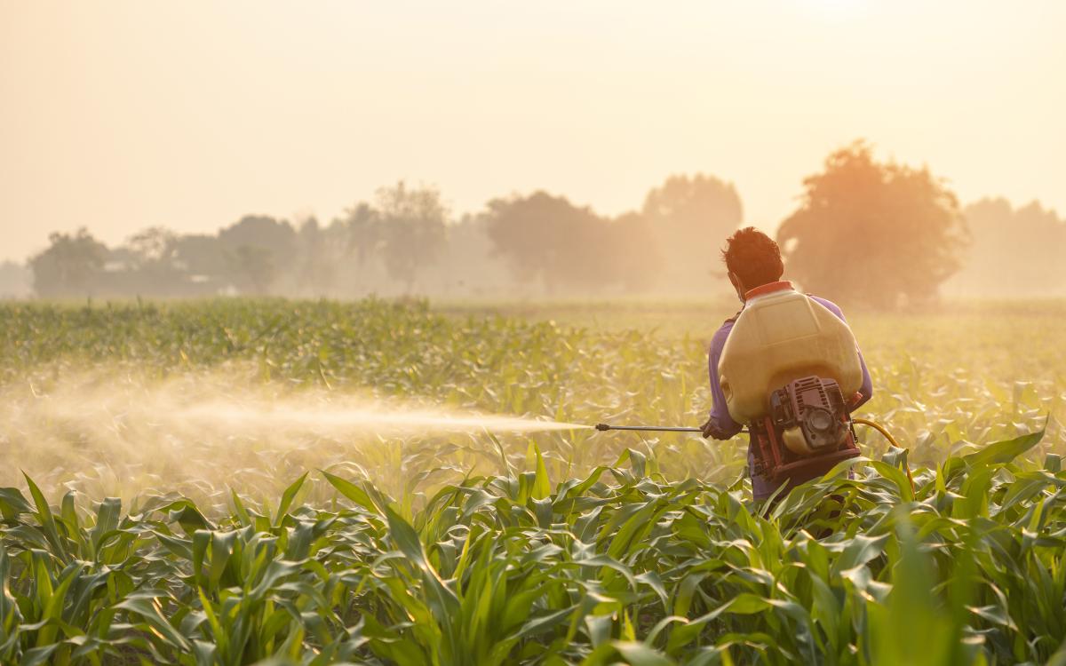 agricultural worker spraying pesticide