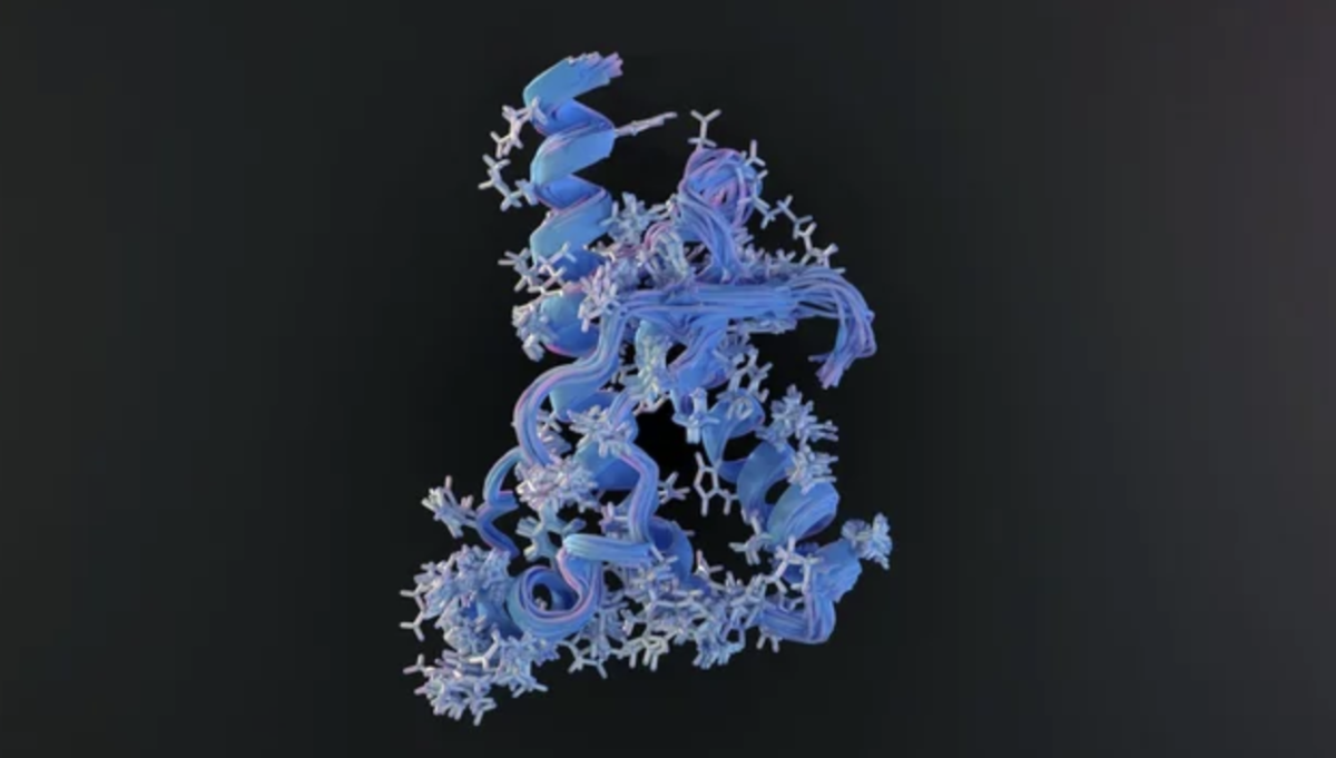 misfolded protein
