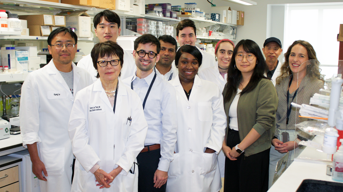 Dr. Swee Lay Thein and her lab staff