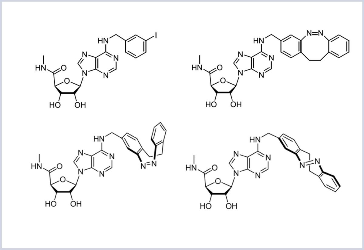 molecular diagrams of different forms of Dr. Jacobson's psoriasis drug