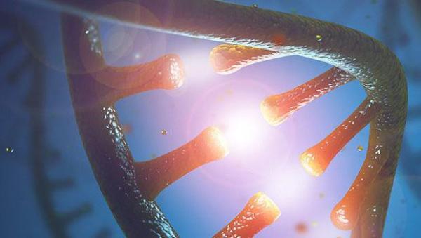 complimentary RNA and DNA nucleotides