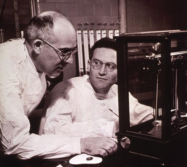 Dr. Theodor von Brand (left) and Dr. Benjamin Mehlman prepare snails that carry the agent of schistosomiasis, also known as snail fever, for metabolic studiesDr, T