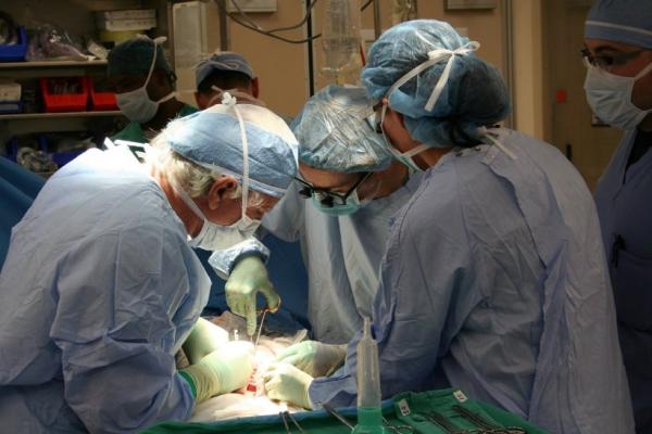 surgeons performing an organ transplant