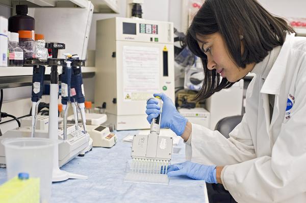 scientist working in the lab
