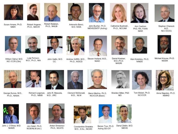 Meet the NIH Scientific Directors and their programs