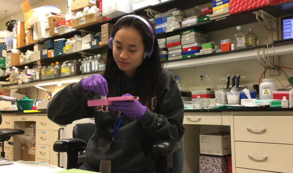 Lindsey Jay working in her lab