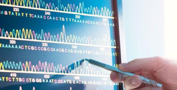 computer monitor showing the results of DNA sequencing