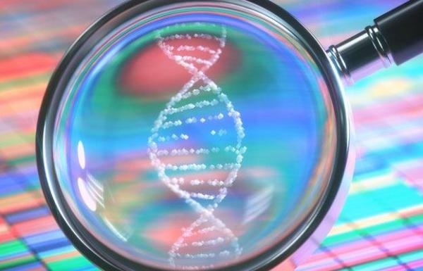 magnifying glass focusing on a DNA double helix