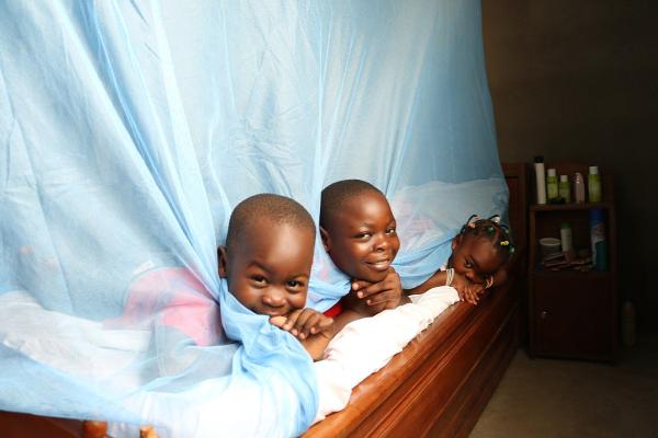 children under a bed net